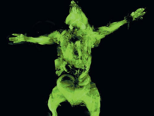 what's inside A laser scan of a dead mouse that has undergone a treatment called uDisco to become transparent. photo courtesy: Ali Erturk via nyt