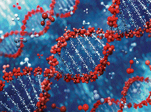 How X-ray damages DNA, causes cancer decoded.