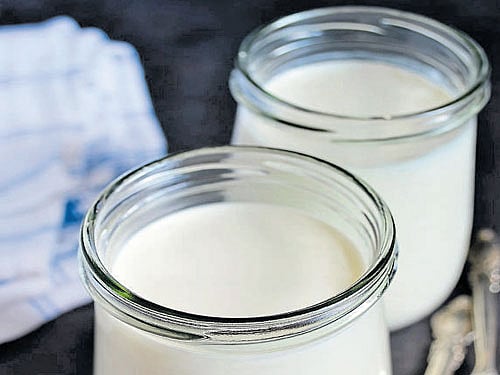 The cooling benefits of curd Rama Gokul
