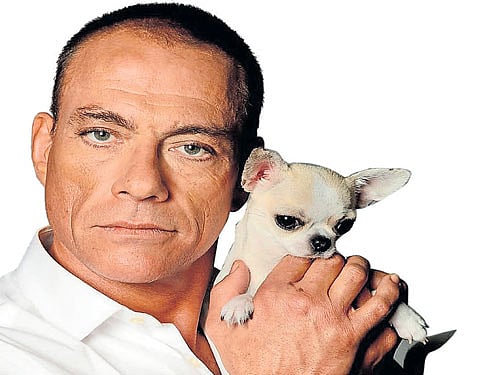 back in action Belgium-born action star Jean Claude Van Damme.