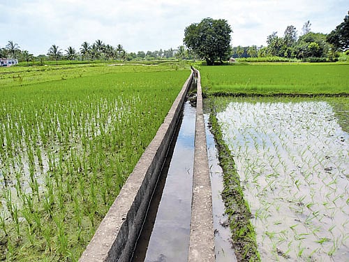 Sources in the Congress said if the session resolves to release Cauvery water to Karnataka farmers, then some amount will naturally flow into Tamil Nadu. DH FIle Photo