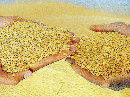 Centre procures 3,740 tonnes of pulses at MSP
