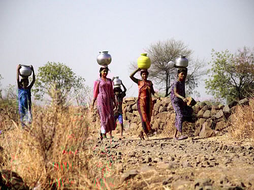 Of the 177 taluks in the state, 110 are now drought hit. There are chances of more taluks getting added to this list. DH File Photo.