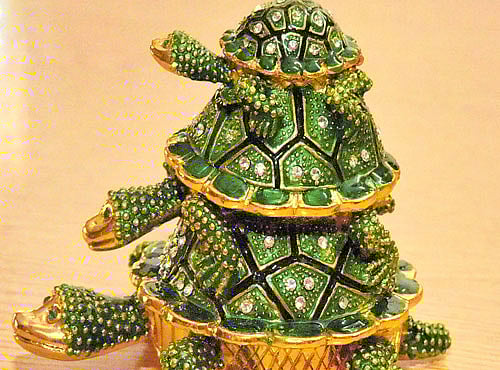 EXOTIC A turtle from Bali. DH PHOTO