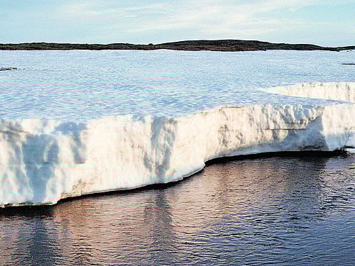 Arctic sea ice, the vast sheath of frozen seawater floating on the Arctic Ocean and its neighbouring seas, has been hit with a double whammy over the past decades. As its extent shrunk, the oldest and thickest ice has either thinned or melted away, leaving the sea ice cap more vulnerable to the warming ocean and atmosphere, NASA said. Reuters file photo