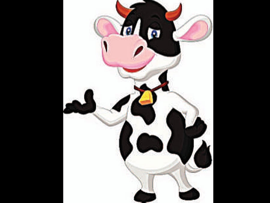 Mooving on: cows to 'reform' jail inmates in Haryana