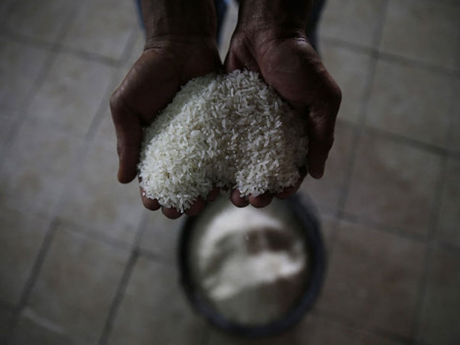 Evidence for very early rice use has been known from the site of Lahuradewa in the central Ganges basin, but it has long been thought that domesticated rice agriculture did not reach South Asia until towards the end of the Indus era, when the wetland rice arrived from China around 2000 BC. PTI file photo