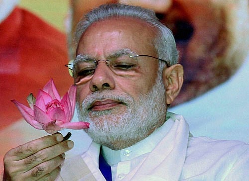 Prime Minister Narendra Modi. PTI
