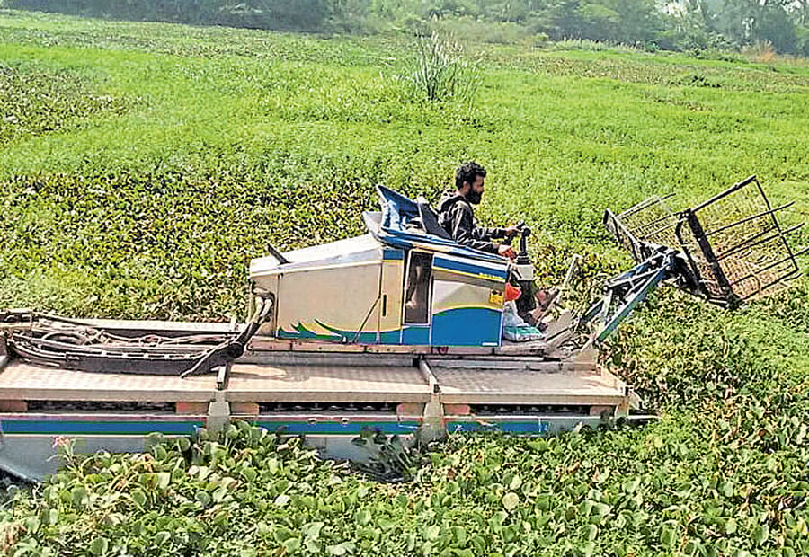 Rapid urbanisation in the surrounding areas has taken a toll  on Alahalli lake as untreated sewage was directly let into it.