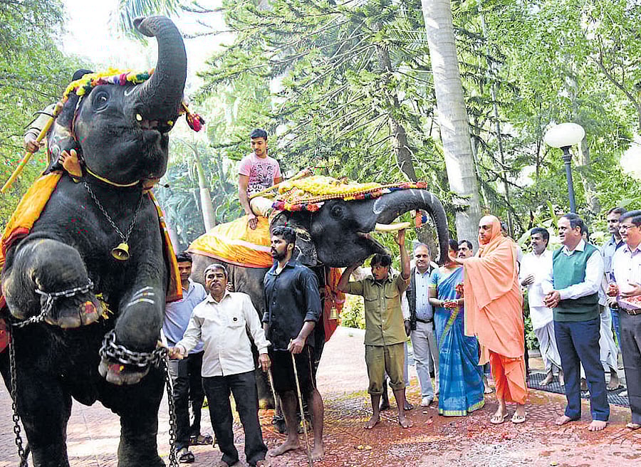 Suttur Mutt seer Shivaratri Deshikendra Swami, executive director of Chamarajendra Zoological Gardens Kamala Karikalan and others bid a warm farewell to elephants Drona and Champa on the Mutt premises in Mysuru on Monday. dh photo