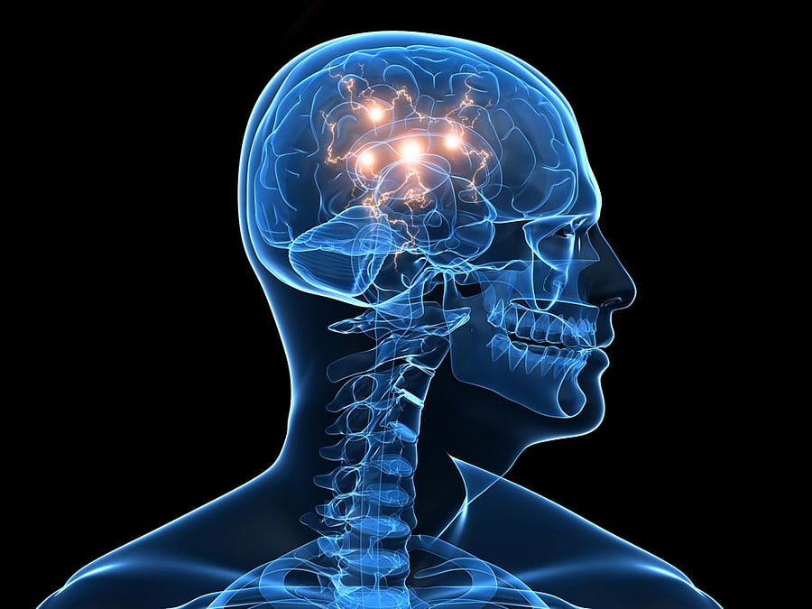 They discovered that regional cerebral blood flow is reduced in the Broca's area - the region in the frontal lobe of the brain linked to speech production - in persons who stutter. File Photo for representation.