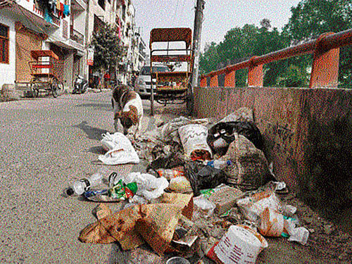 Unsegregated waste processing unit to be set up in Mathikere