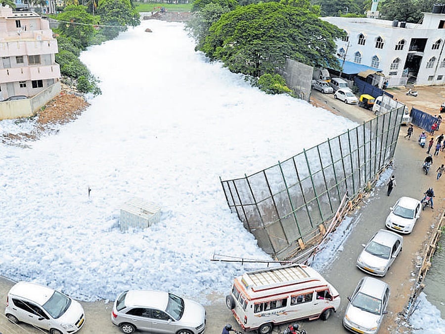 The committee has given 13 points for the success of the rejuvenation of Bellandur lake. DH FILE PHOTO