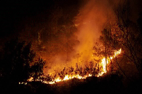 After Nagarahole fires, stress on buying water to prevent wildfires