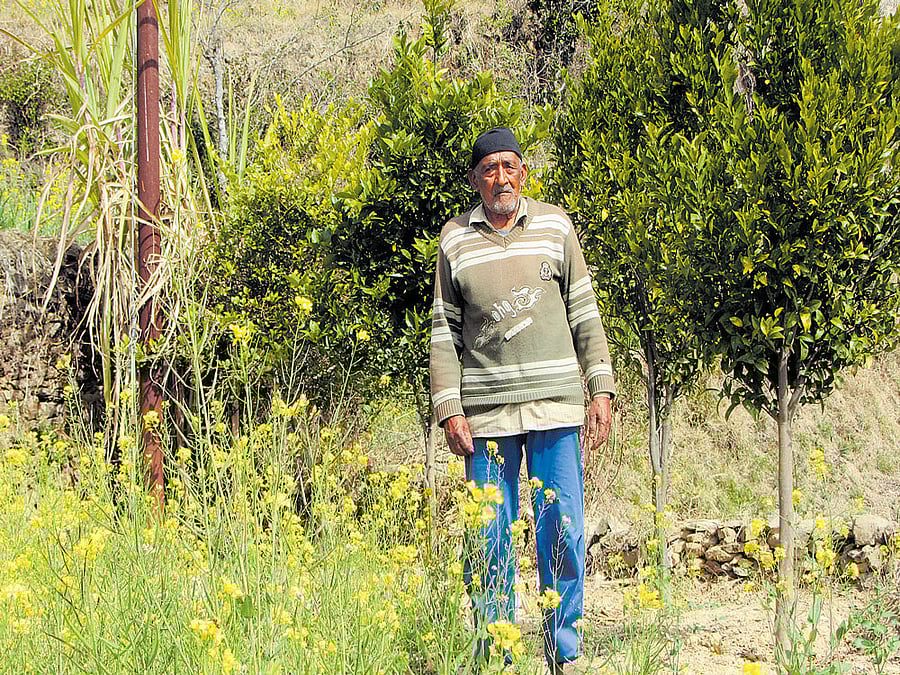 Govind Singh in his farm in Chured in Uttarakhand. Sagar Kulkarni