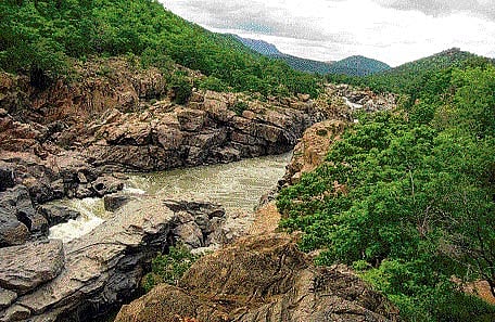 Palanisamy requested Modi to instruct the Ministry of Water Resources not to accord techno-economic clearance for Mekedatu or any other project in the Cauvery Basin of Karnataka. DH Photo