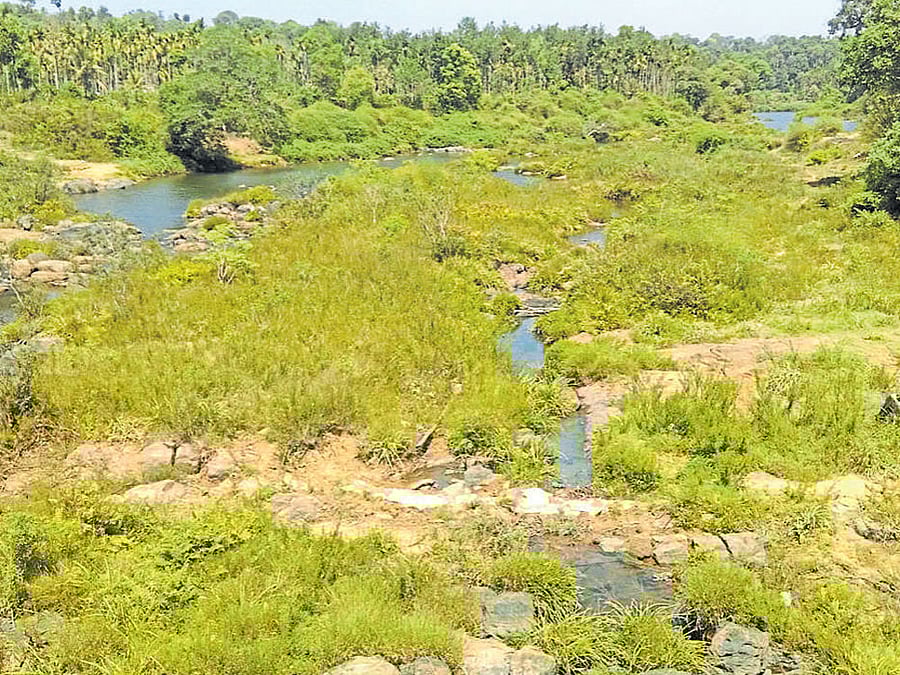The water-level in river Cauvery which supplies water to Virajpet has declined drastically at Bhetri, even before the onset of peak summer.