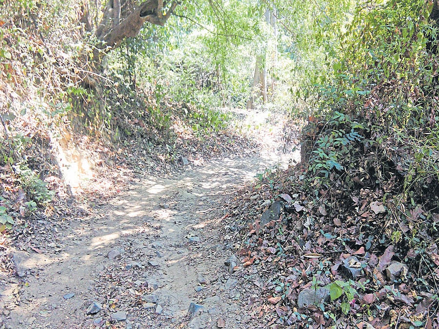 A view of the rocky and muddy stretch of road that connects Elaneeru from Didupe, Belthangady taluk, Dakshina Kannada district.