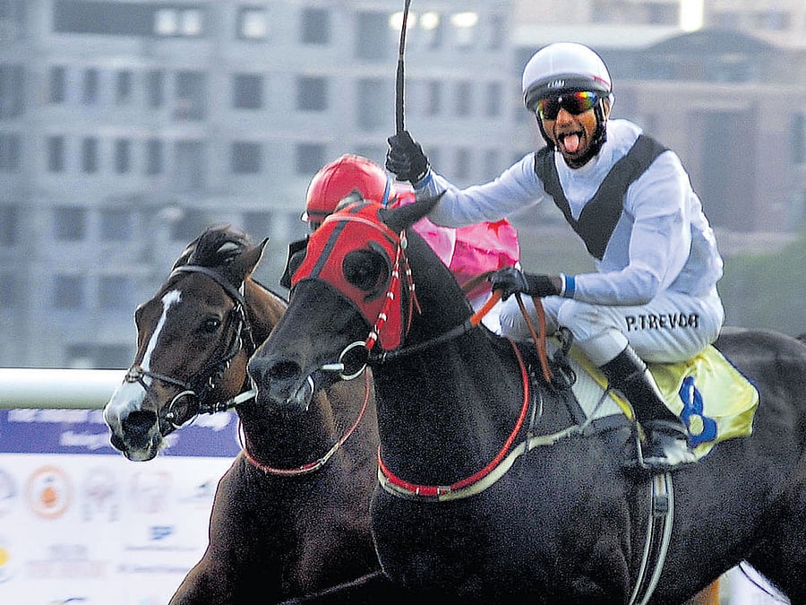horse power: Jockey P&#8200;Trevor celebrates after guiding Captain Morgan to victory in the Dr M A M&#8200;Ramaswamy Chettiar of Chettinad Memorial Stayers' Cup. DH PHOTOS/ SRIKANTA SHARMA R
