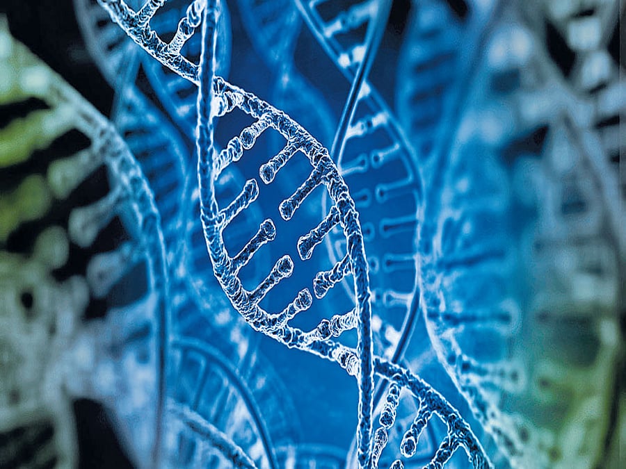 In a new study, researchers from Columbia University and the New York Genome Centre (NYGC) in the US showed that an algorithm designed for streaming video on a cellphone can unlock DNA's nearly full storage potential by squeezing more information into its four base nucleotides. They also showed that the technology is extremely reliable. File photo