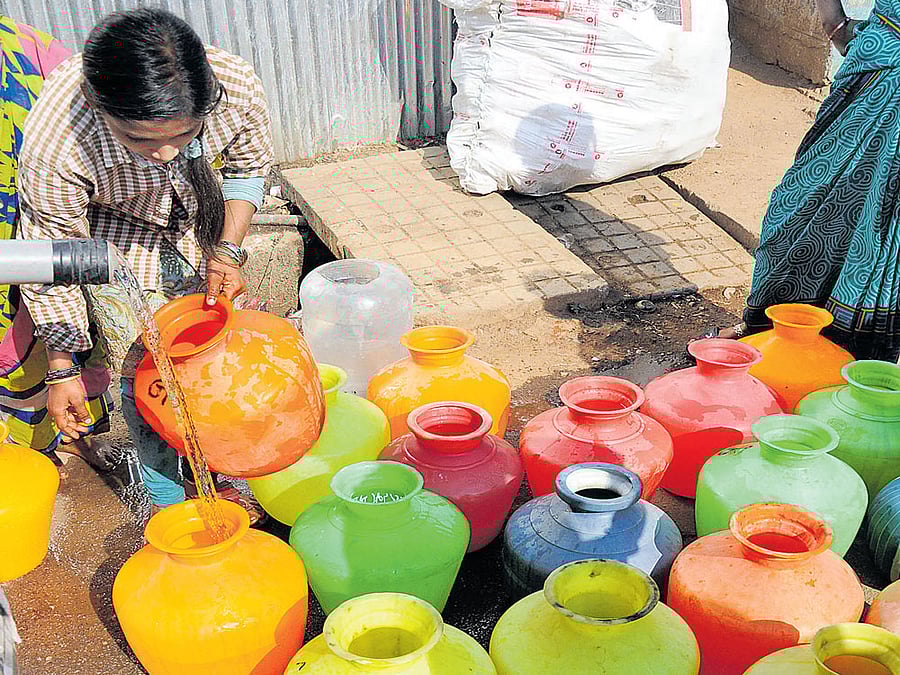 FACING THE HEAT With a scorching summer ahead, a severe water shortage is expected in the city. Many people are taking to composting plants to help the soil retain moisture. DH PHOTO BY B H SHIVAKUMAR