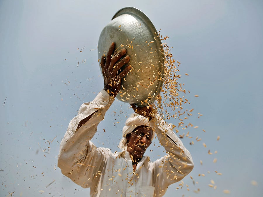 Aadhaar must for crop insurance schemes