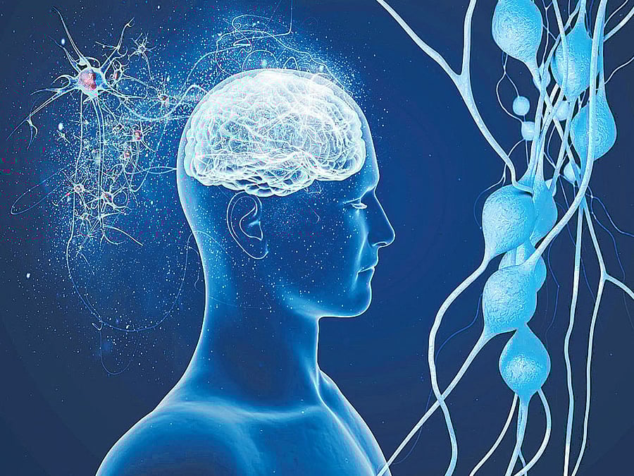 The differences they detected between memory athletes and non-athletes were in connectivity patterns spread across 2,500 different connections in the brain. DH File photo