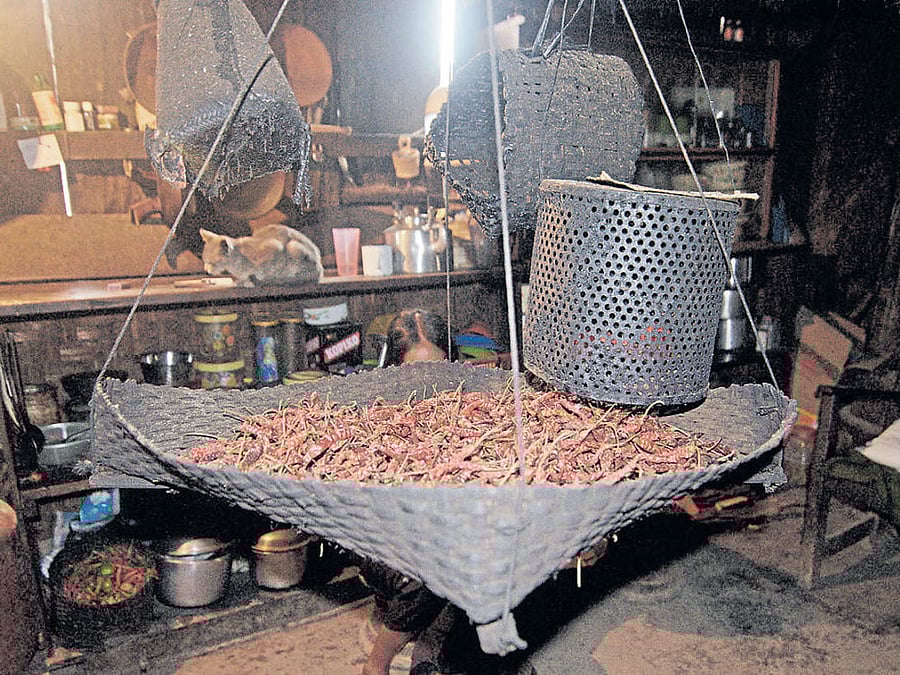 Drying chillies above the hearth in Phusachodu village. Photo by author