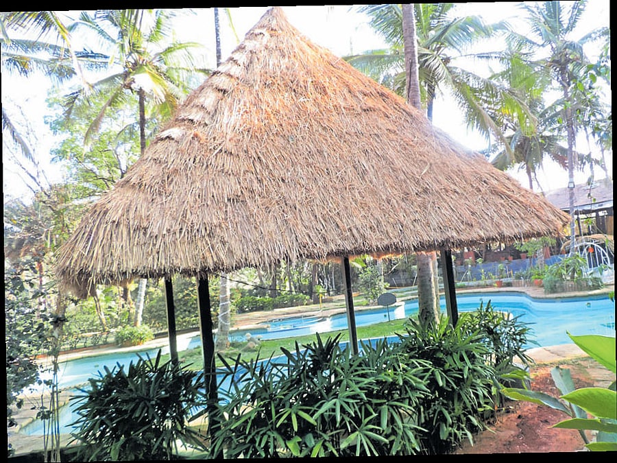 serene locale A view of the Holiday Village resort.