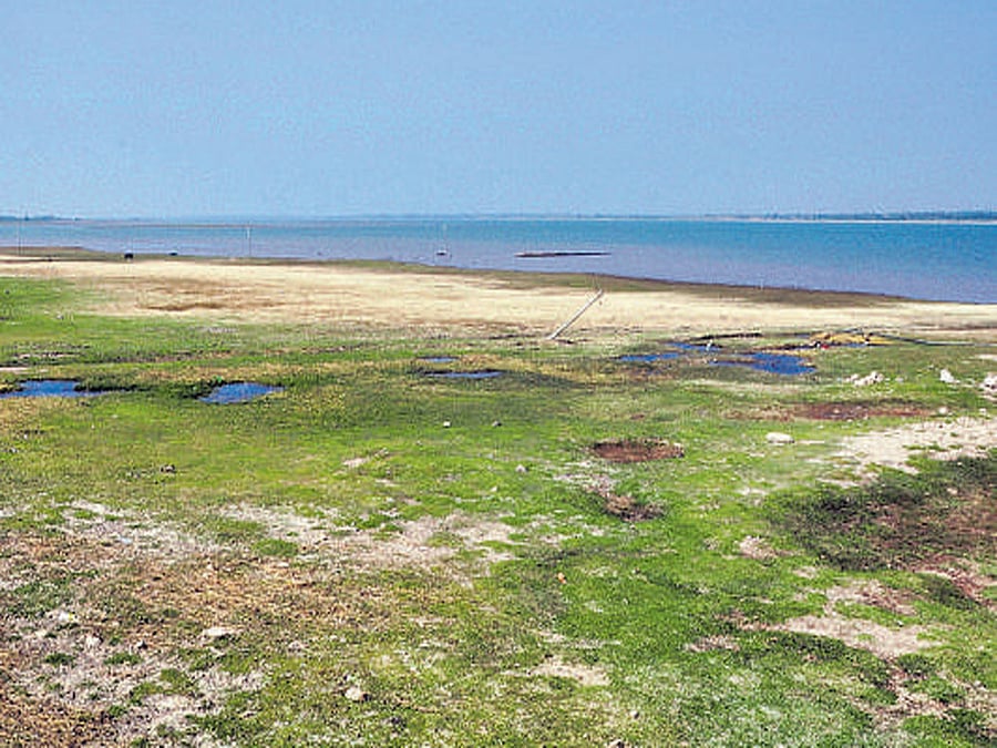 A viewof Rakkasagi, which was a site of the Battle of Talikota.