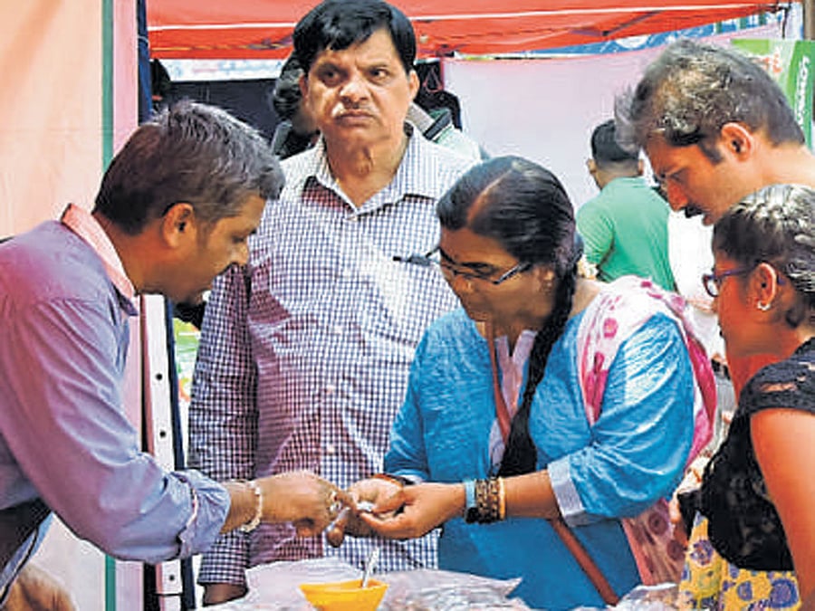 Visitors at the mela