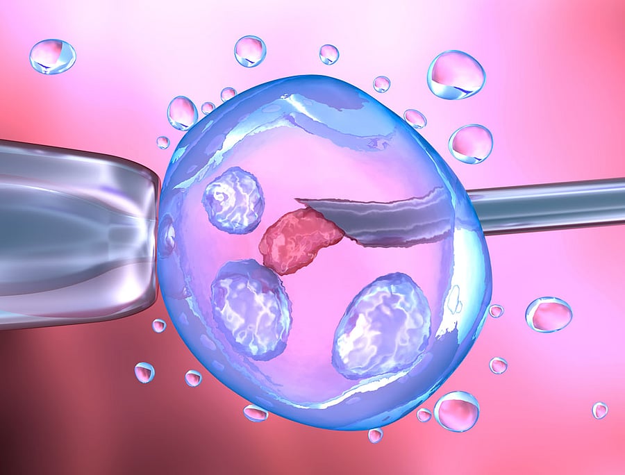 MORAL DILEMMA: Scientists began grappling with the ethics of lab-raised embryos more than four decades ago. REPRESENTATIVE IMAGE