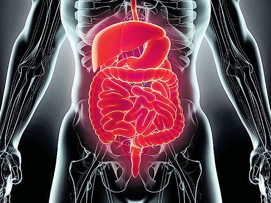 The analysis was less conclusive on the question of Alzheimer's. While there was still a connection, it was not as clearly defined as the link to dementia. Representation image