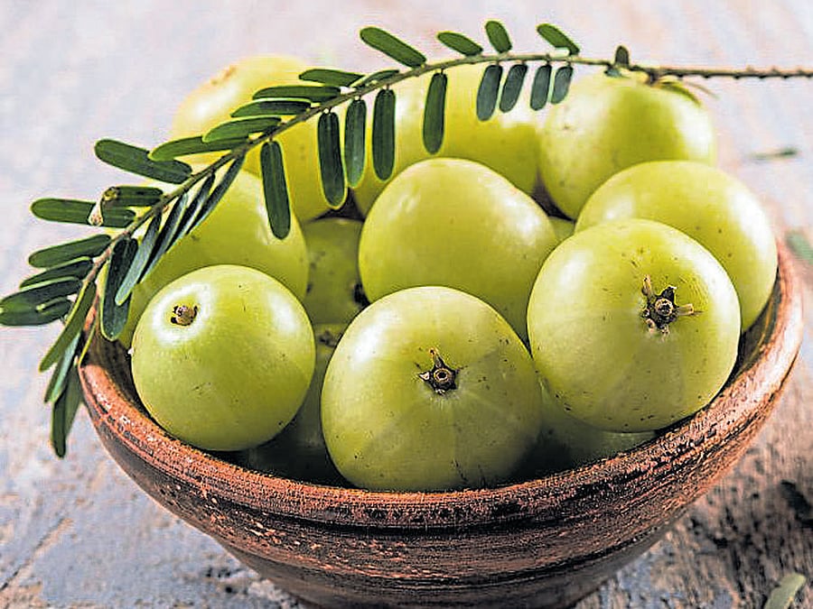Refreshing amla