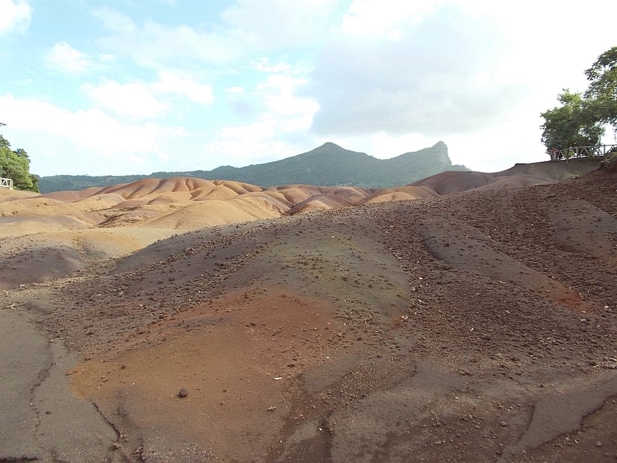 Besides the six persons held from Halnad, eight others had also been arrested from Kandlur. file photo for representational purpose only