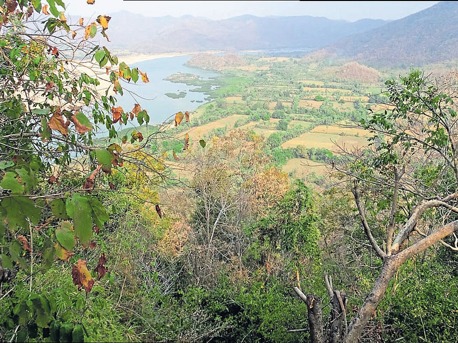 a view of the Wildlife Sanctuary. PHOTOS BY AUTHOR