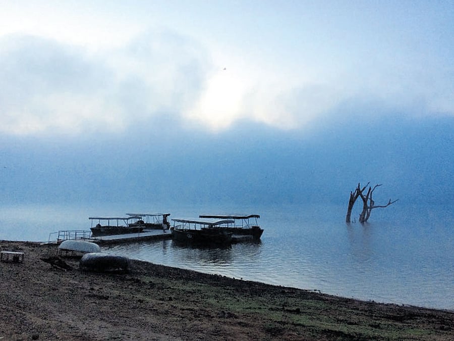 Magical:  A view of the boat safari