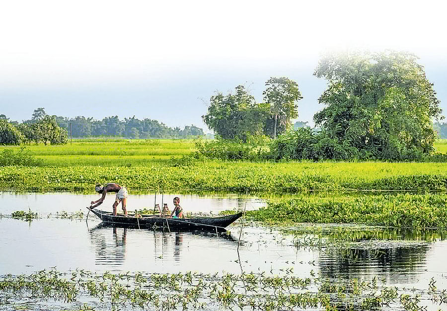 WHS is a much sought after status. It instantly leads to greater  visibility worldwide. Majuli Island ASSAM