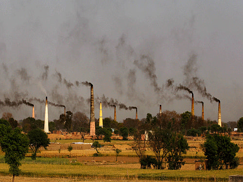 Air pollution may cause year-round runny noses: study