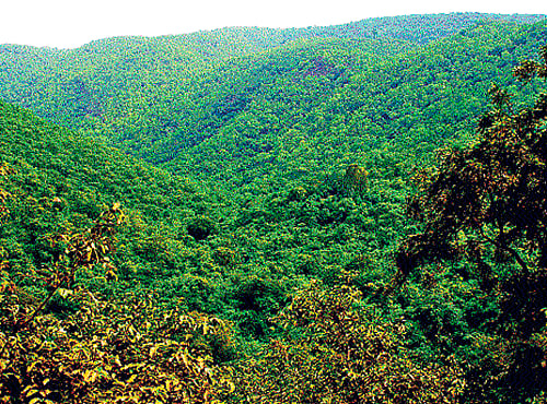 Spending time in the presence of natural environment can help improve your well-being. Photo for representational purpose.