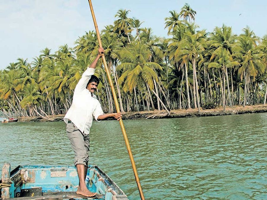 In a massive surge, India on Wednesday reported 58,097 new coronavirus cases, highest since June last year