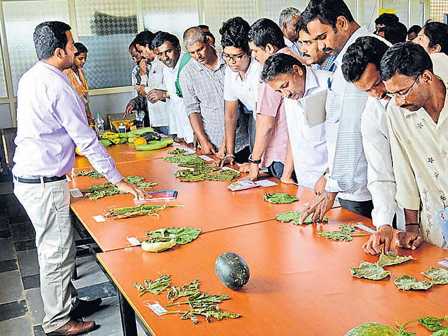 Participants in a training session at the College of Horticulture, Mysuru