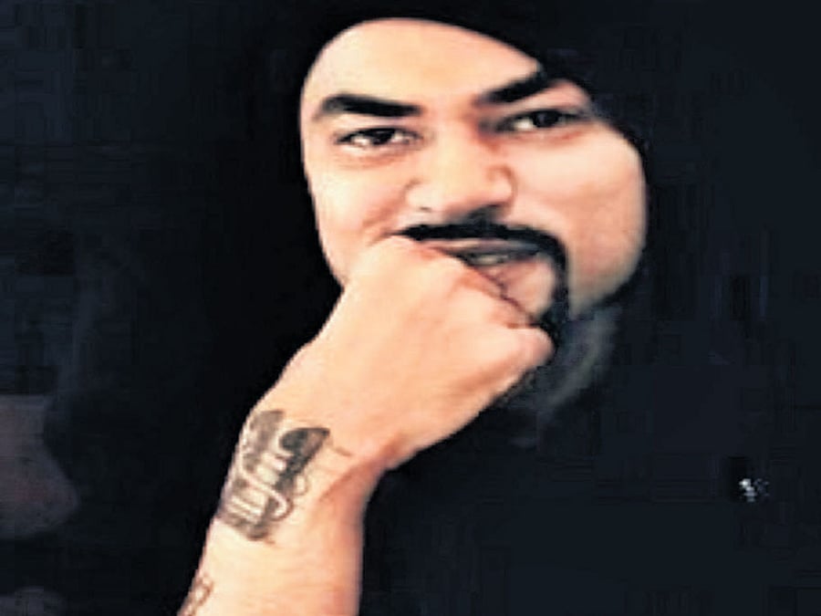 Going global: Bohemia