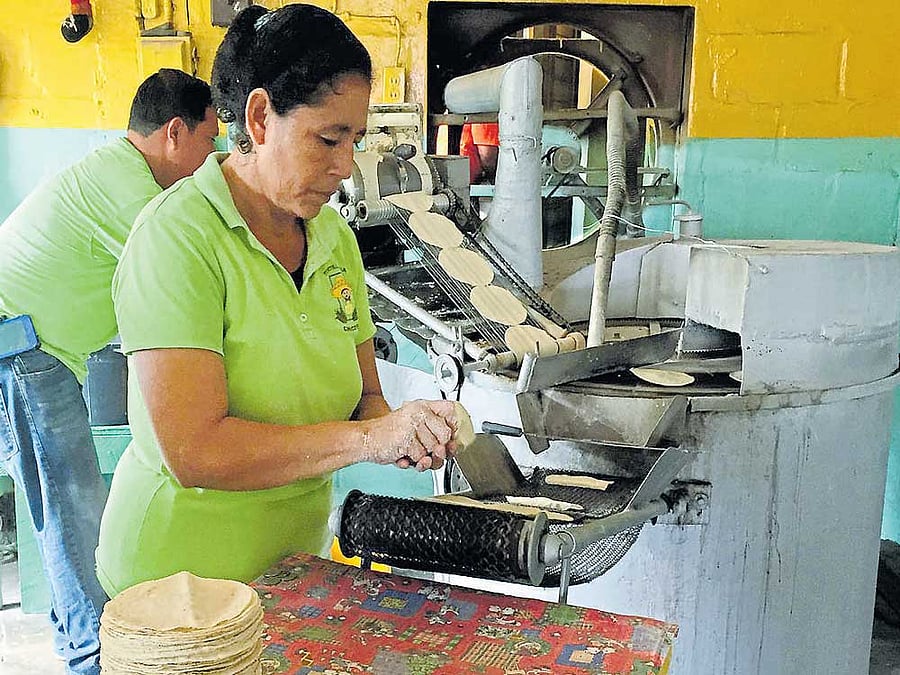 A section of the production setup at the iconic Tortilleria Chico's factory in Belize. Photos by author.