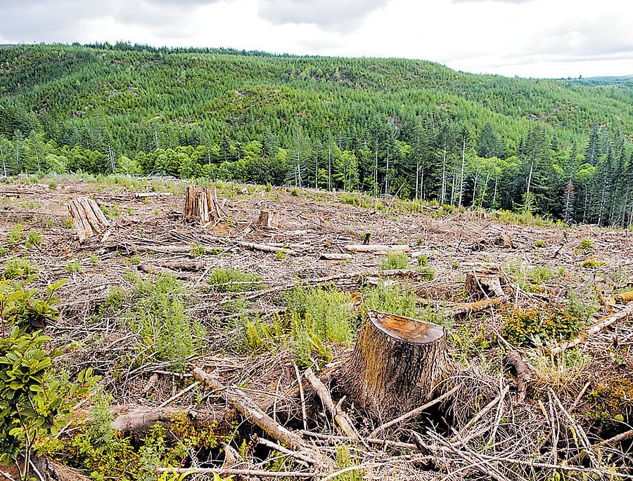 Deforestation is not a natural phenomenon, but rather results predominantly from human activities, or anthropogenically, researchers said. INYT