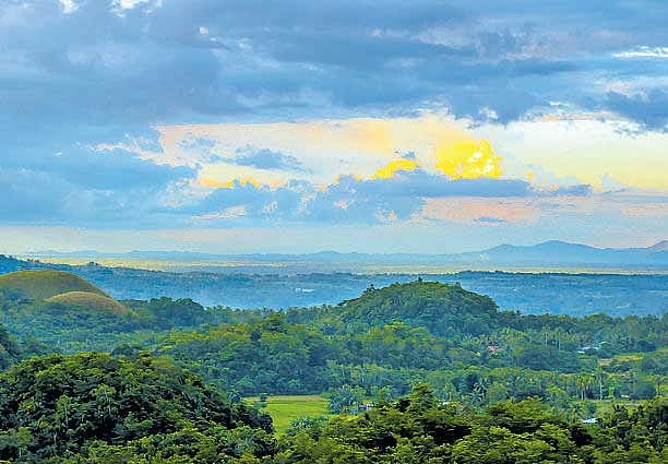 Southeast Asia has lost 14.5% of forests in the last 15 years.