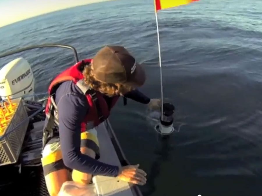 The swimming robot shown to reporters at a Toshiba Corp. test facility near Tokyo was co-developed by the debt-strapped Japanese nuclear and electronics company and the government's International Research Institute for Nuclear Decommissioning. Image for representation.