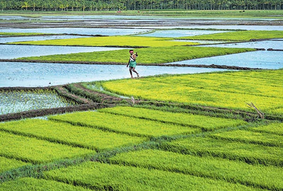 Image for representation.