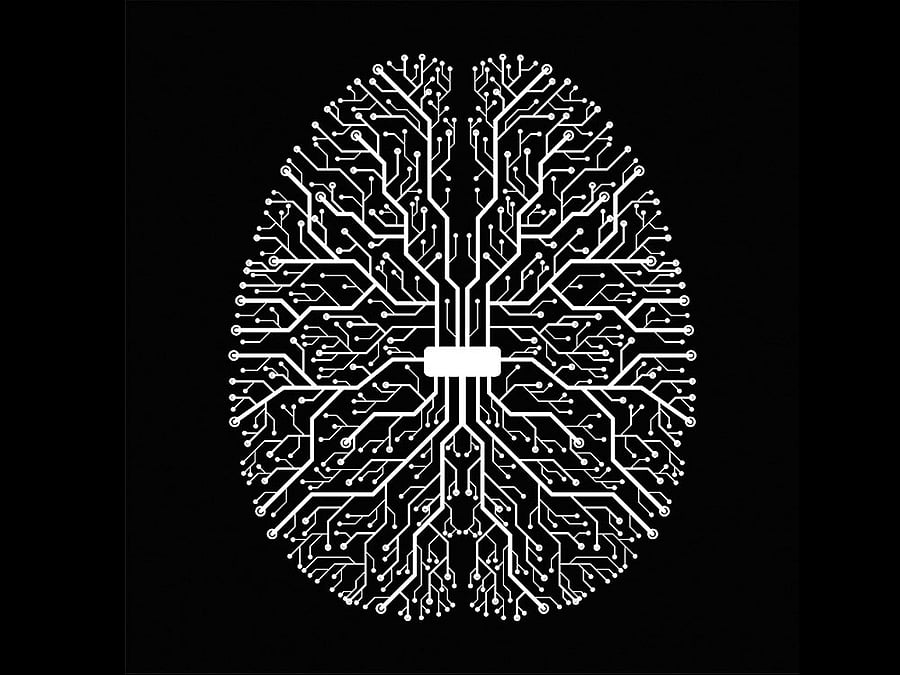 John pointed out that Omicron is not "fathered, or mothered, by Wuhan-D614G, Alpha, Beta, Gamma, Delta, Kappa or Mu and that much is for sure".