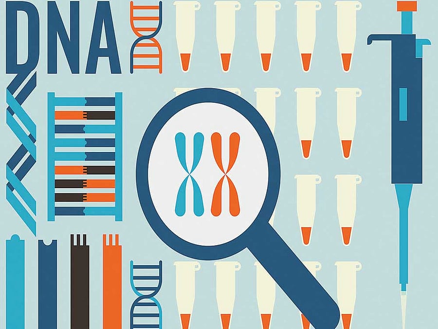 back in time Researchers used DNA samples from the current population of South Asia and neighbouring  regions and used sophisticated molecular tool to go back into history. REPRESENTATIVE IMAGES
